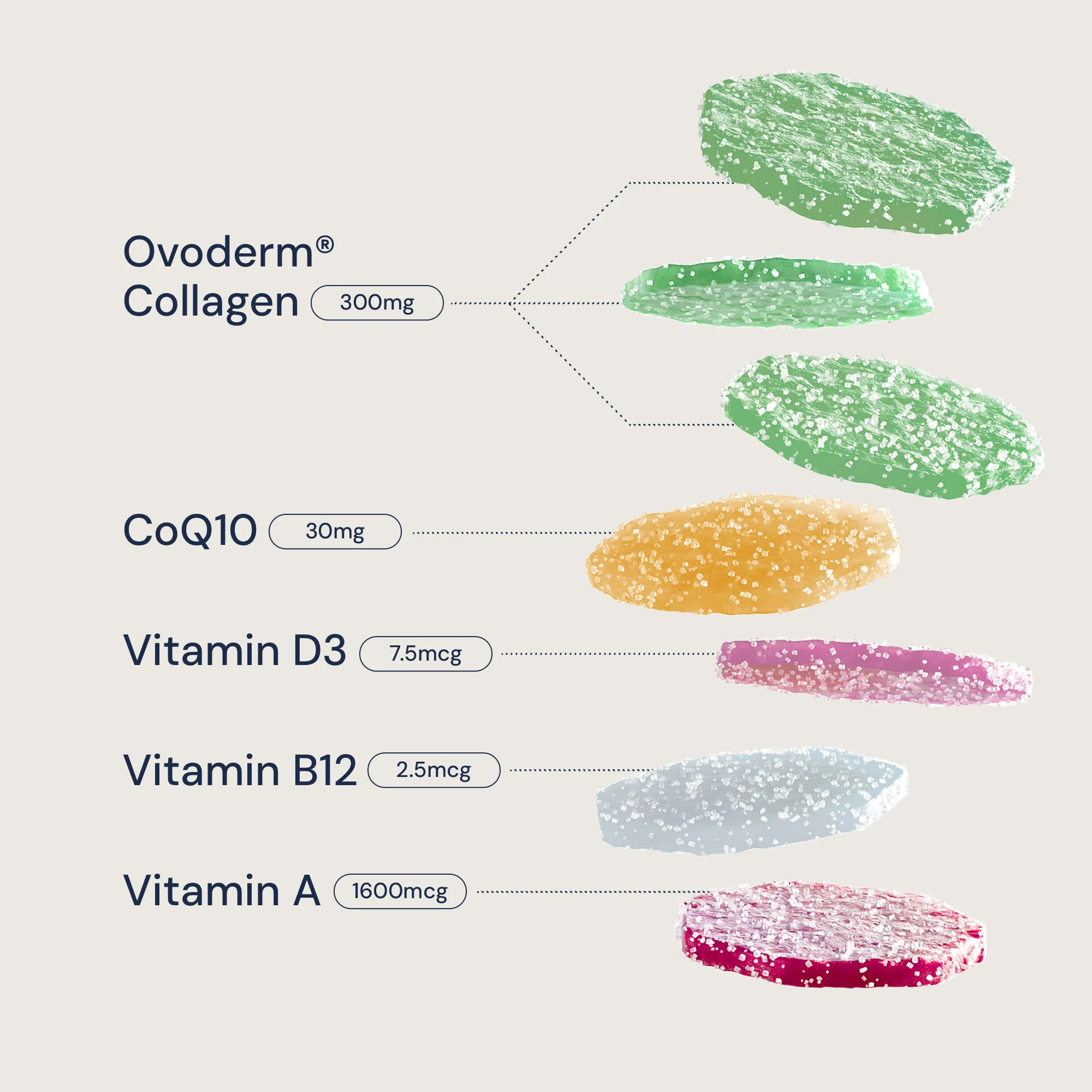 Slimming Support Stack Monthly - Image 4